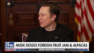 Elon Musk: There's Layers of Stealing In Agencies