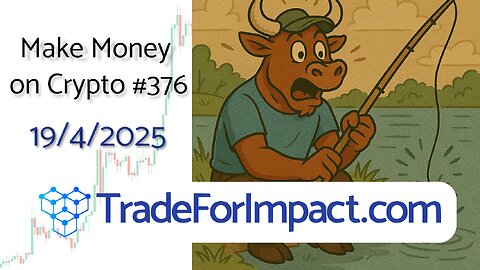 Make #money on #crypto 376! Is the Bull Taking The Bait? 😱🙌🤝🤑 #trading #bitcoin