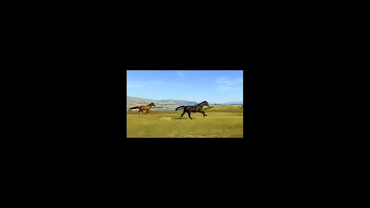 "The World’s Fastest Animals – Incredible Speed in Nature"