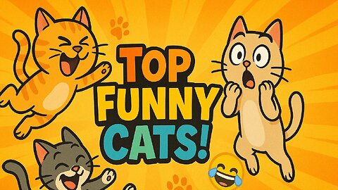 Top Cat Videos Cats Funny Videos