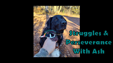 Struggles & Perseverance With Ash