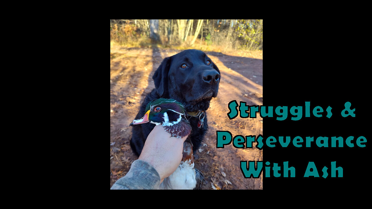 Struggles & Perseverance With Ash