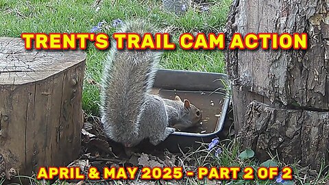 Trent's Trail Cam Action - April & May of 2025 - Part 2 of 2