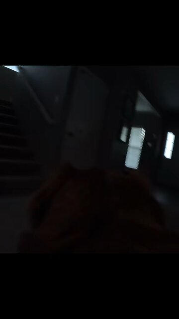 Beware of Dogs with GoPros 🤣