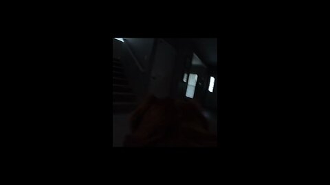 Beware of Dogs with GoPros 🤣