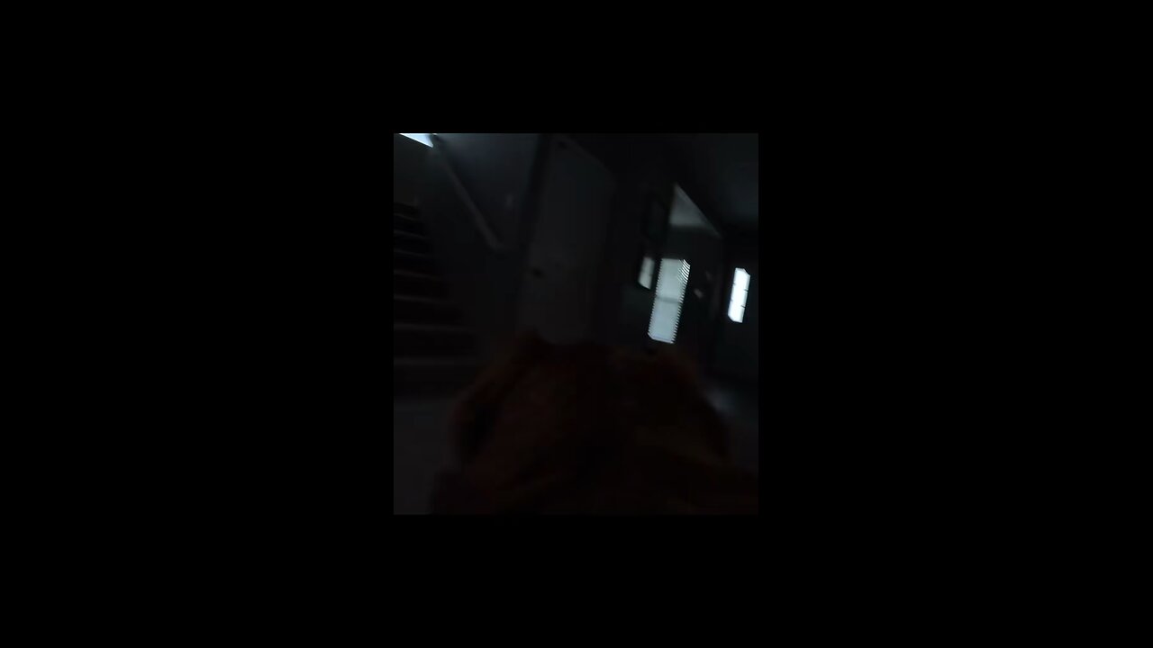 Beware of Dogs with GoPros 🤣