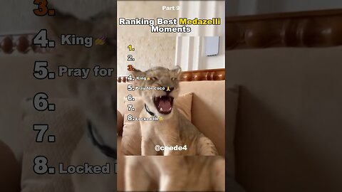 Funniest Medazelli#ranking #medazelli #tiktok