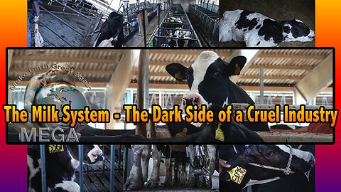The Milk System - The Dark Side of a Cruel Industry | ENDEVR Documentary