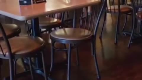 how to get pizza discounts in Nashville and save big