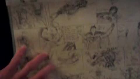 iqVideo02272012110338