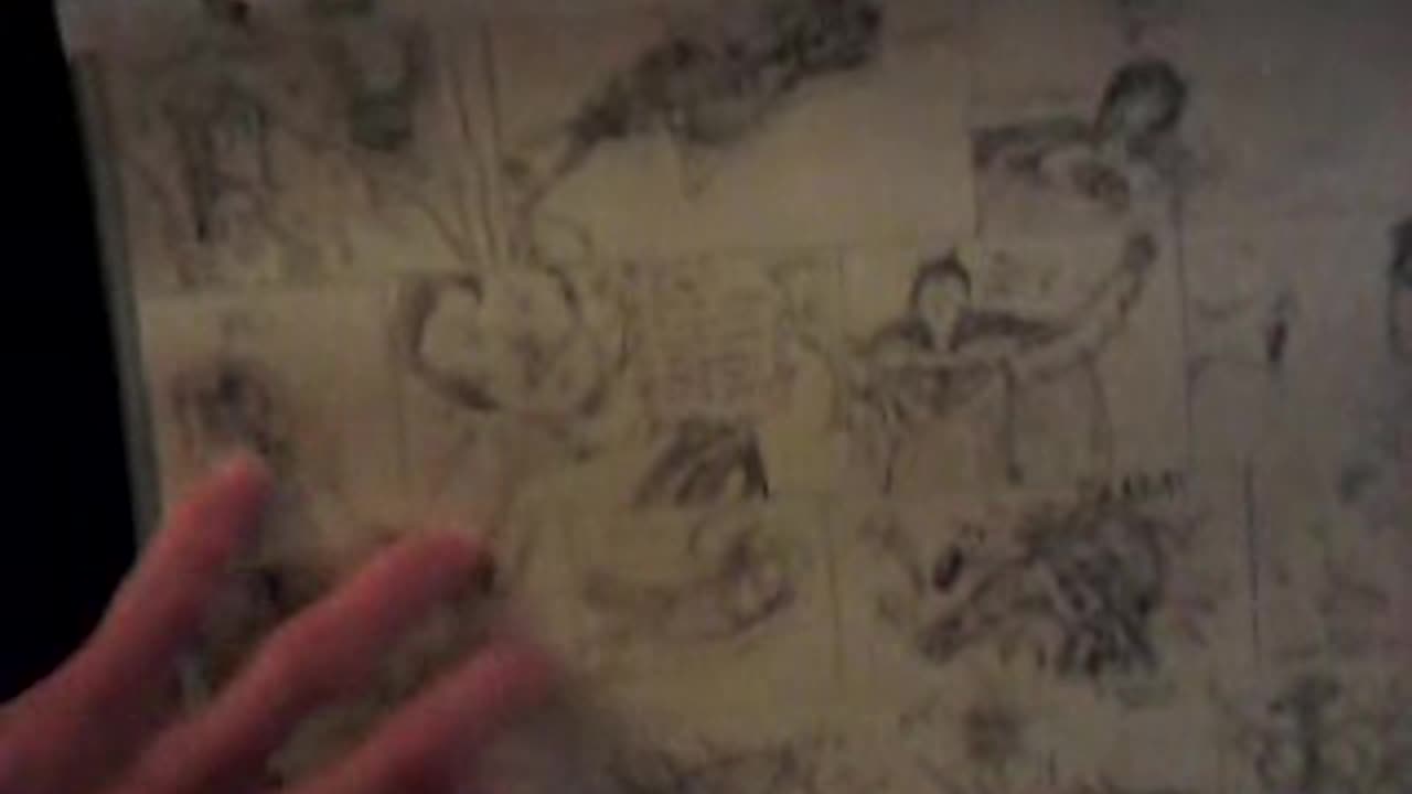 iqVideo02272012110338