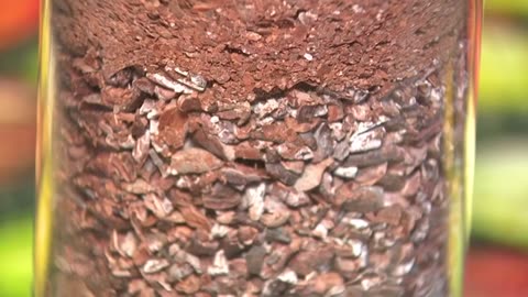 The art of chocolate making at Taste: Provo's hidden gem of unique flavor