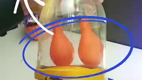 Trending: Respiratory System Model | working model of lungs |best science projec