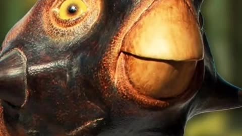 The Saddest Dinosaur Fossil dinosaur fossil pssitacosaurus dinosaurfossil facts prehistoric
