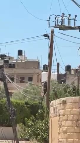 Israeli Soldiers Fire at Foreign Diplomats