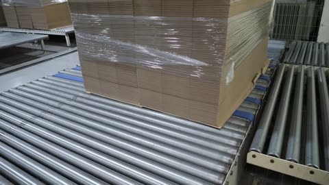 400 Boxes per Minute! Insane Cardboard Production in a Korean Factory