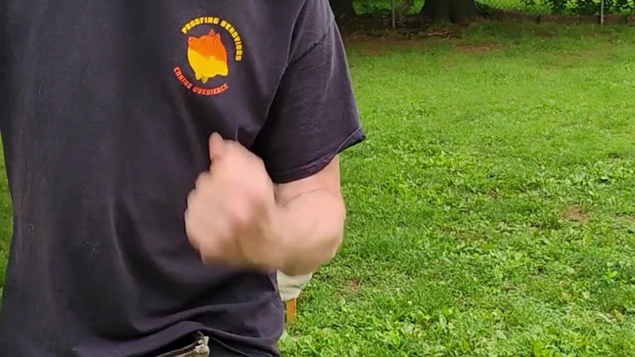 Shaping the Heel cue short 2