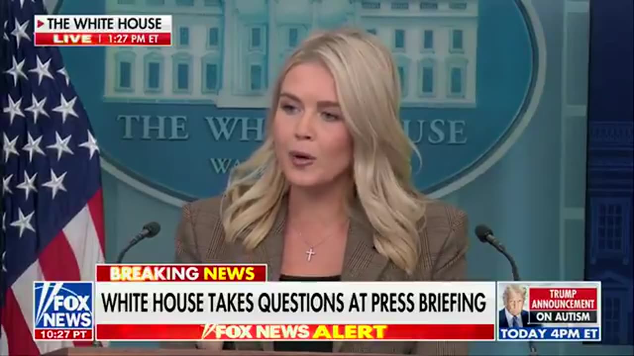 Karoline Leavitt SHUTS DOWN lib reporter who tries to gaslight America