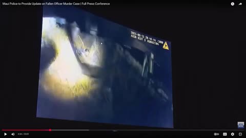 Breakdown of Maui Police OIS and LODD
