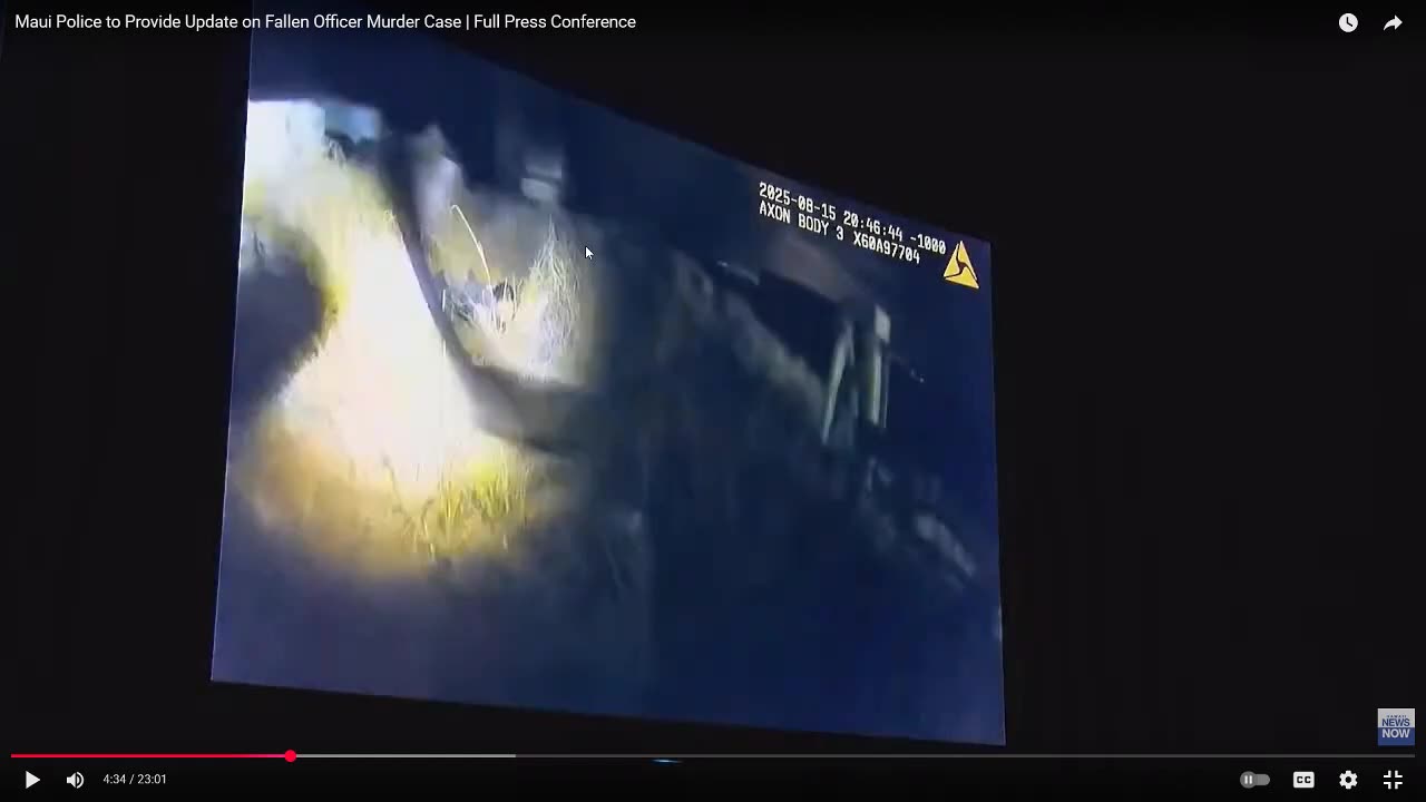 Breakdown of Maui Police OIS and LODD
