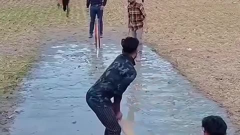 Fun