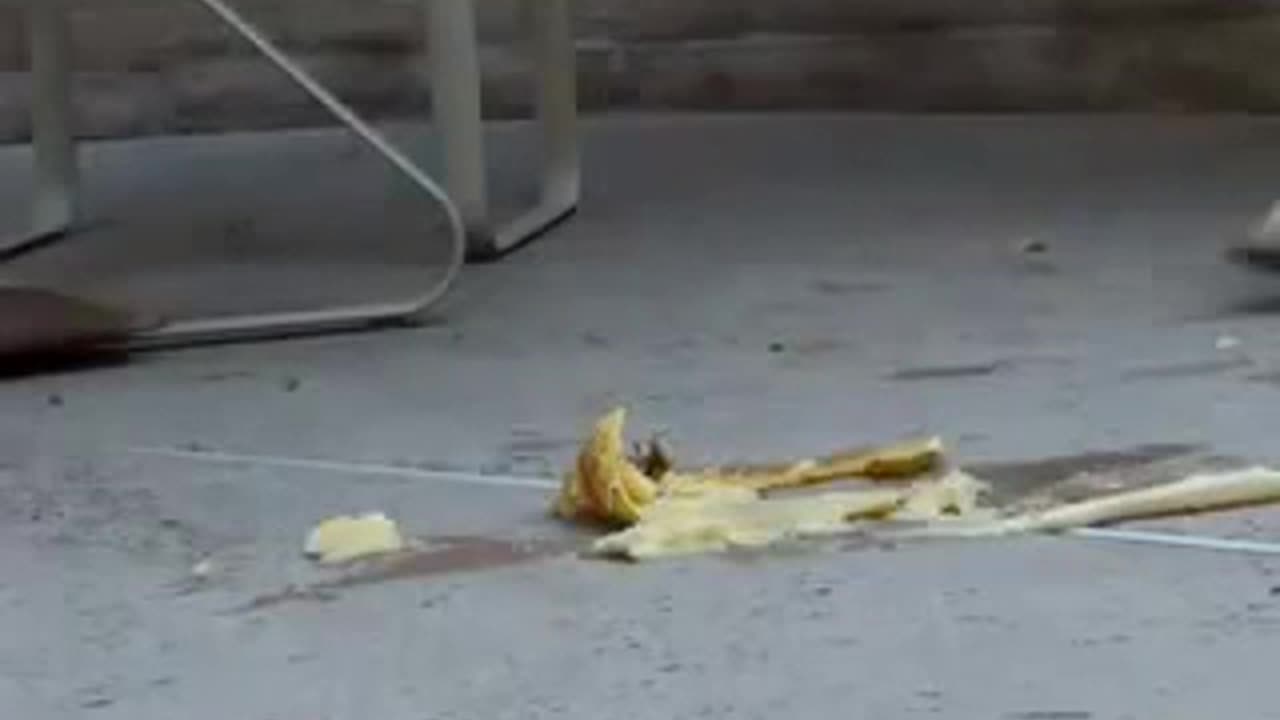 Flip Flop Banana Crush from RedShoeCrush