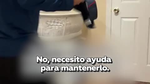 "No soy de los que trabajan": un hombre pide a su esposa que busque empleo extra