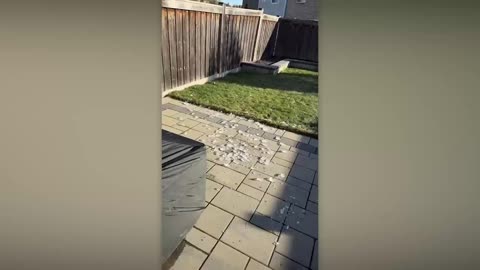 Satisfying Winter Moments Caught on Camera