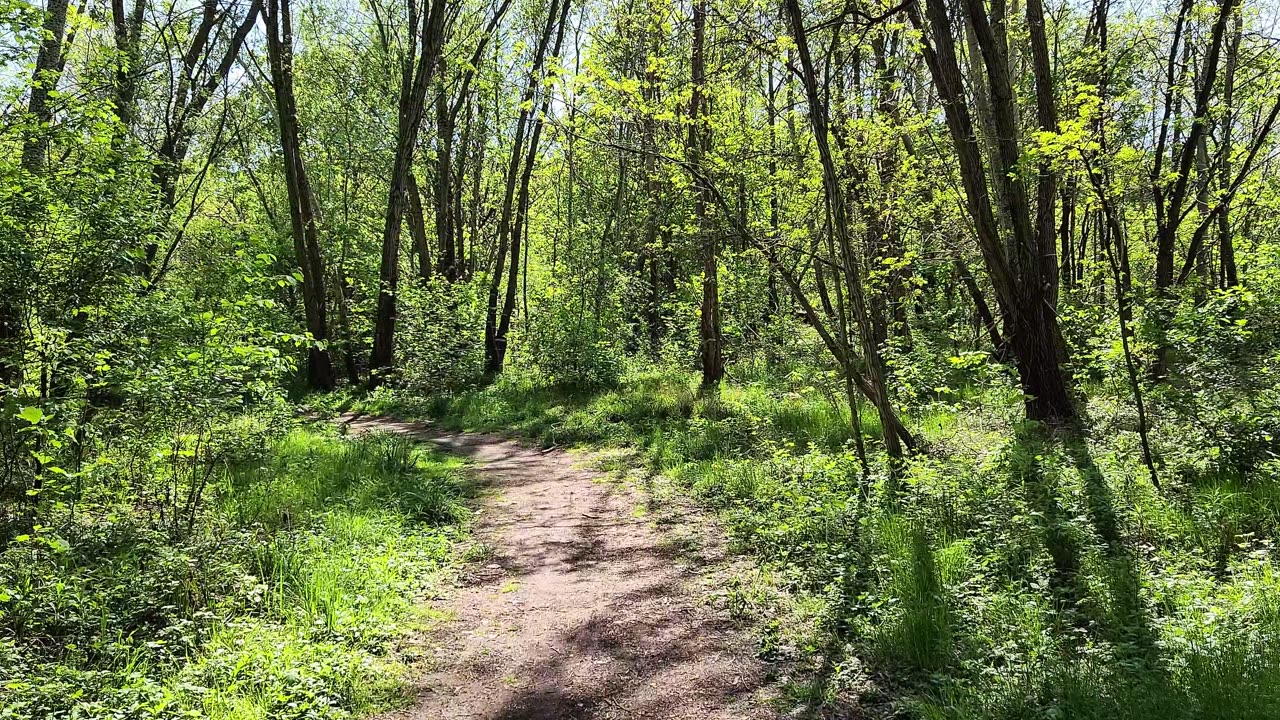 Wiesiorynka z przyrodą, wiersze-myśli 2