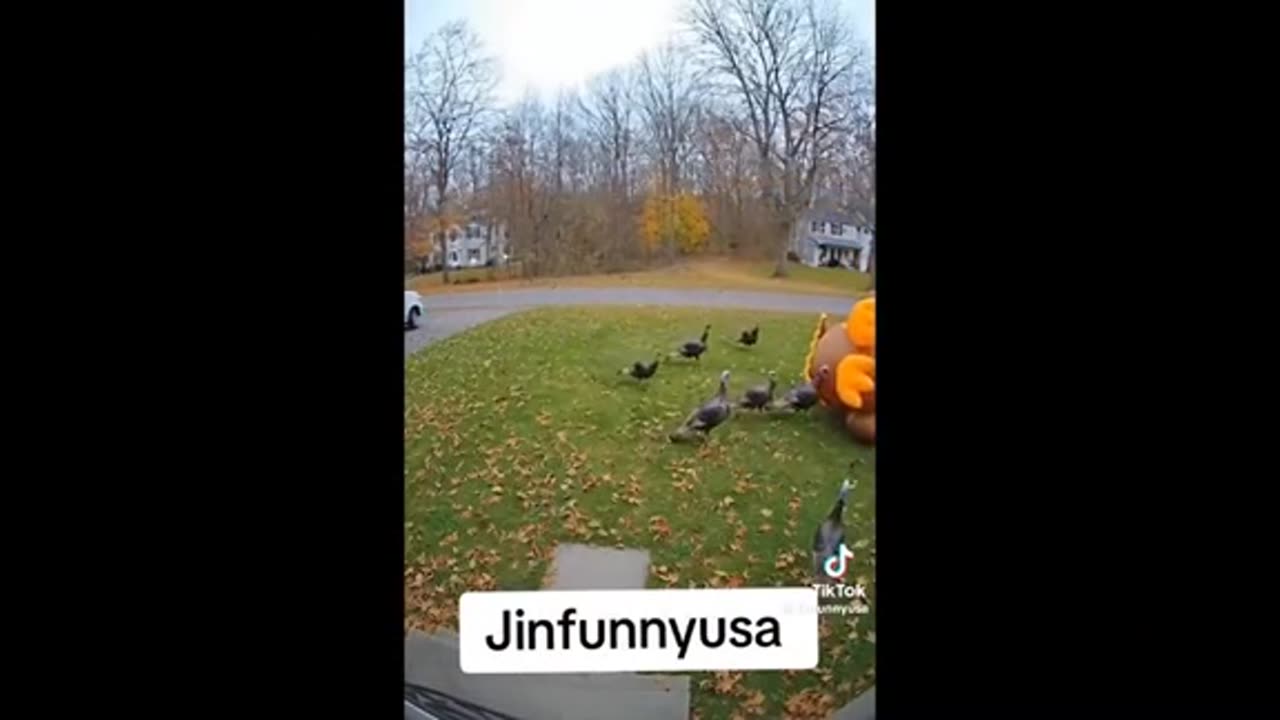 Need a laugh here and there ;)