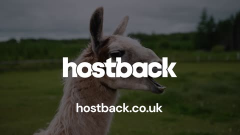 Give Your Head a Wobble. Get More from Your Web Hosting.