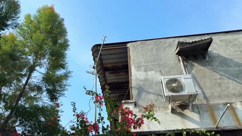 A Bright Afternoon – Just Breathing and Enjoying Life