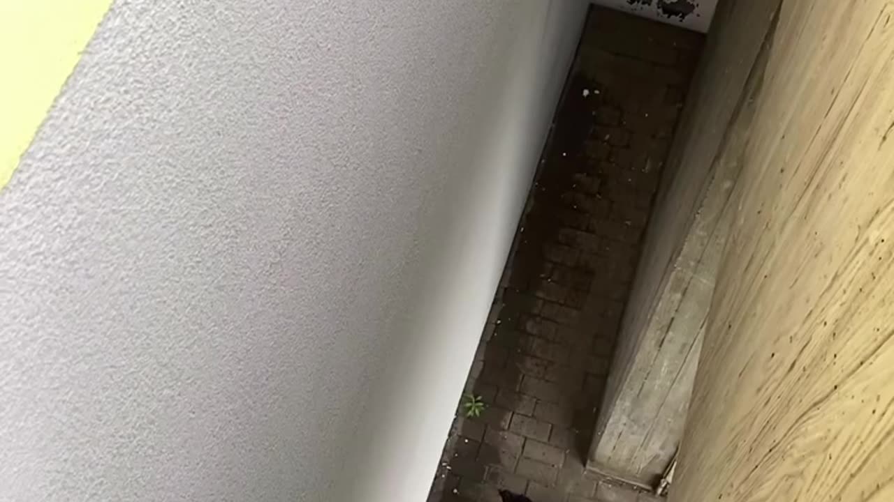 “Building Stunt Gone Wrong | Man Nearly Falls”