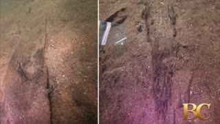 Wisconsin archaeologists identify 16 ancient canoes in a prehistoric lake ‘parking lot’