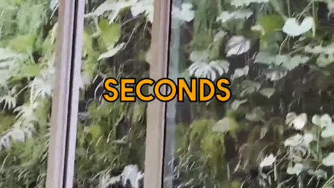 AI Helps Visualize Interior Design Ideas