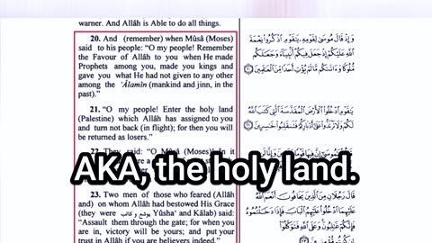 How Muslims Were DECEIVED About Israel Vs. Palestine War