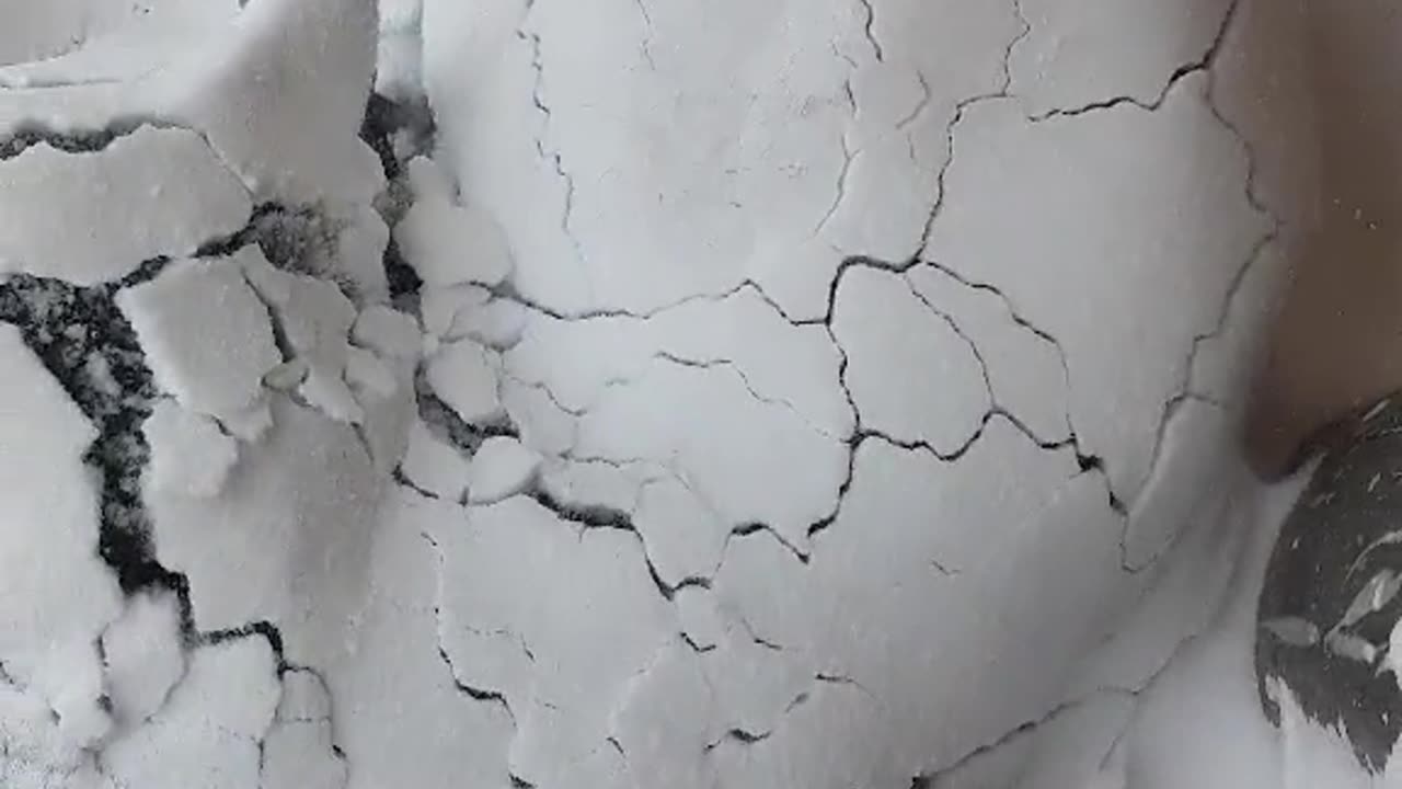 dog under the snow