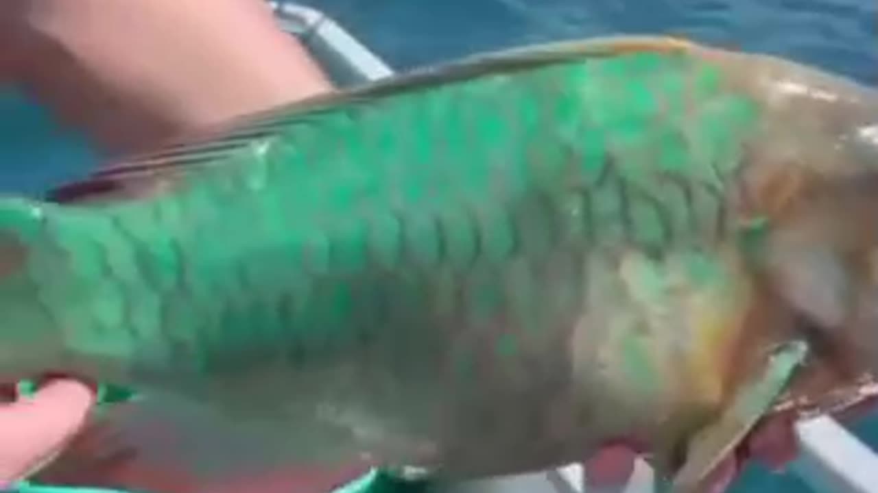 wonders of the world