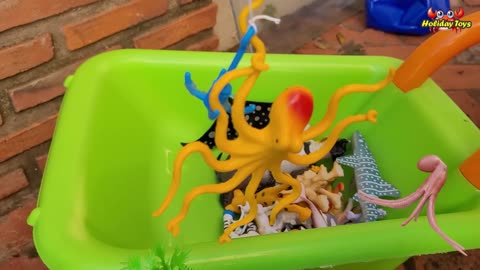Crabs Fight Over Nests with Shrimps at the Bottom of River