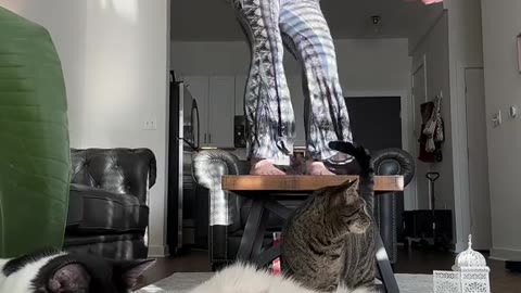 Cute girl show of her skills.