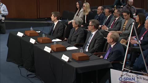 Hearing on Artificial Intelligence & Innovation - 05/08/2025