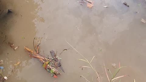 Basarnas