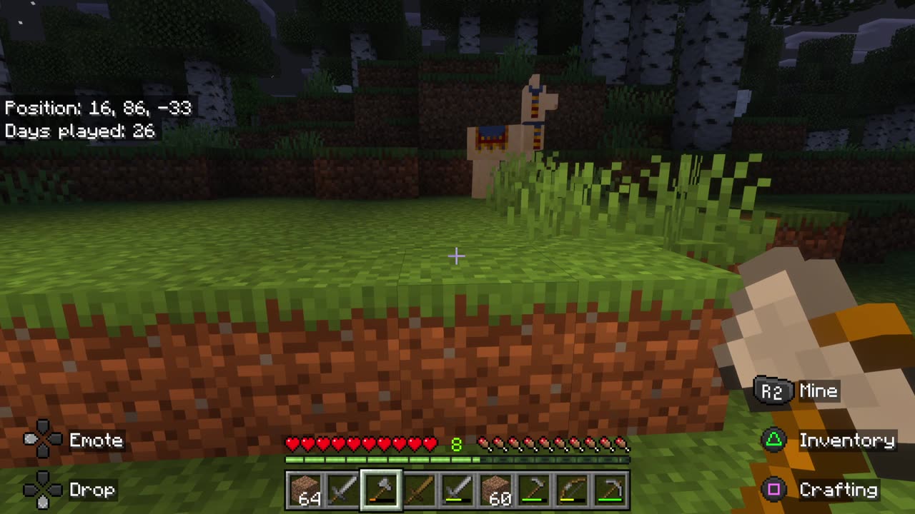 My Daughter (4) plays her own minecraft world