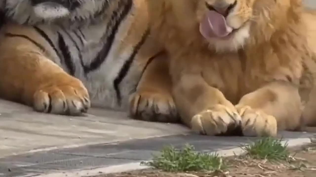 😂🤜 Bros Being Bros! | FunFM