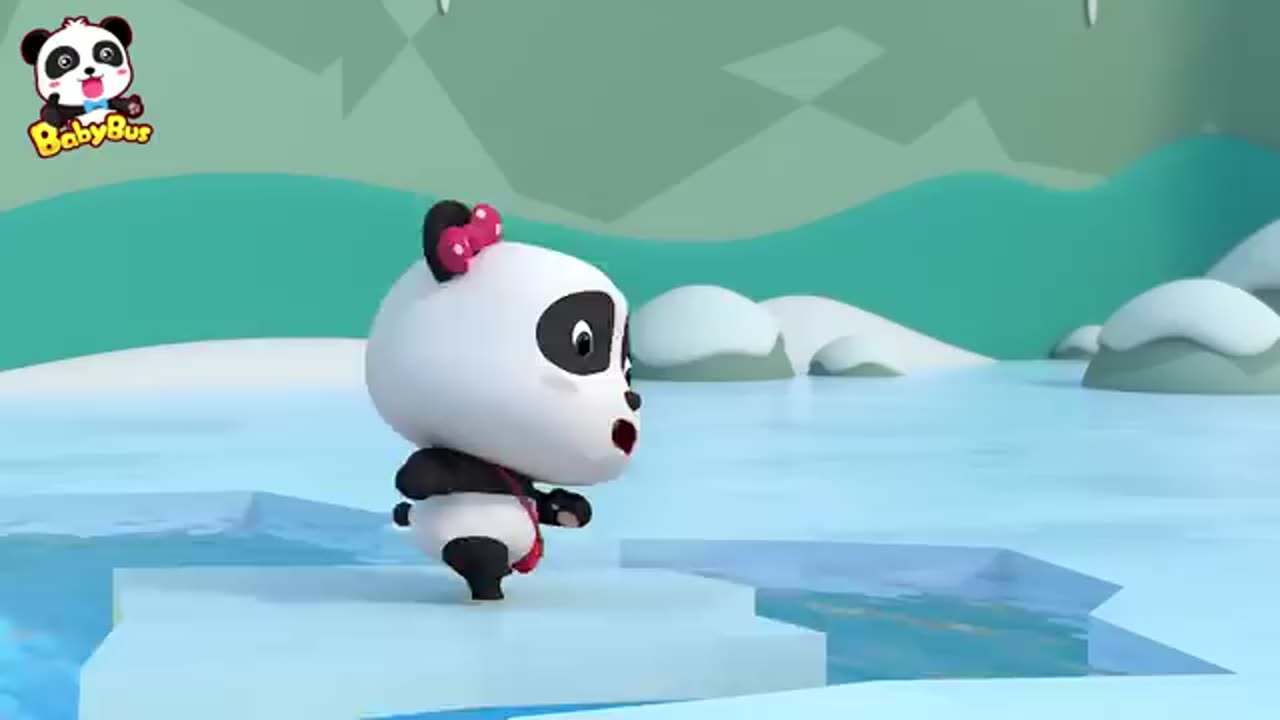 Who is the real panda 🐼
