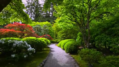 The most beautiful earth scenes captured/petflixandchill