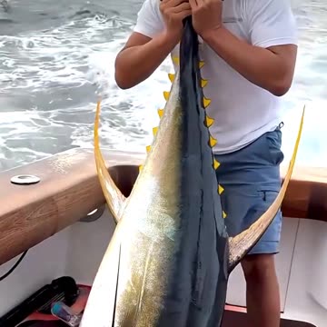 Most Expensive Animals in the World