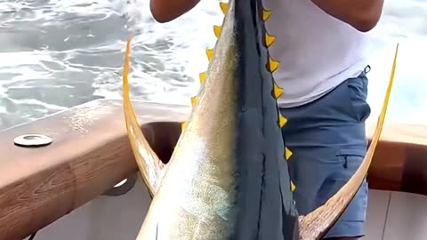 Most Expensive Animals in the World