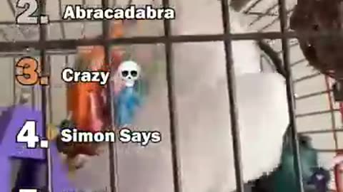 Ranking the best parrot moments