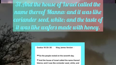Exodus 16:30-36 King James Version 30 So the people rested on the seventh day.